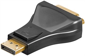 Adaptateur DisplayPort™ à DVI-I 1.1